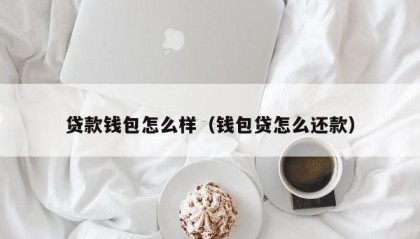 贷款钱包怎么样（钱包贷怎么还款）