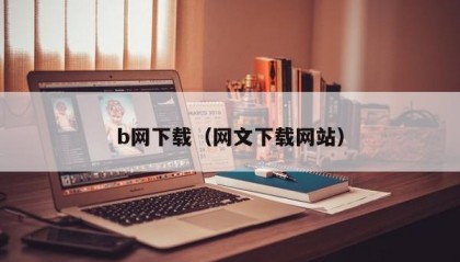 b网下载（网文下载网站）